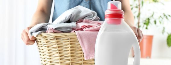 Entretien de la maison